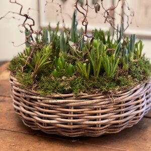 Contemporary Spring Basket
